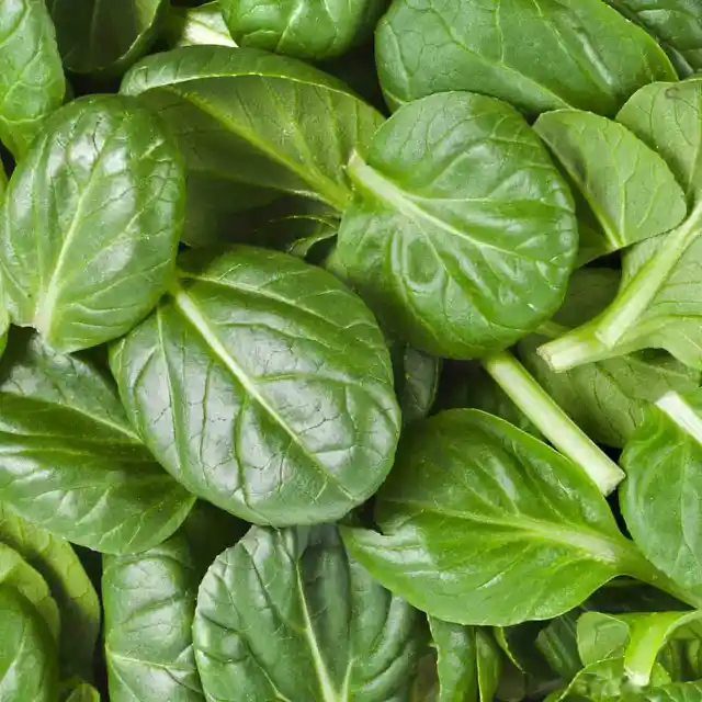 Number Four: One of the Best Healthy Foods – Spinach