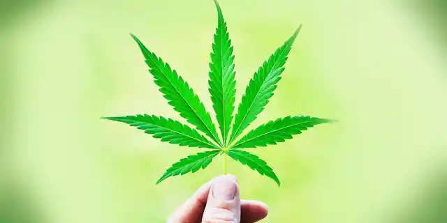 Marijuana: 7 States Taking Legislative Action