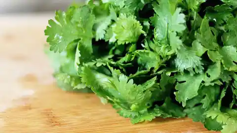 Why The US Banned Shipments Of Cilantro From Mexico
