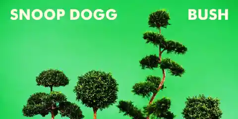 Snoop Dogg: ‘BUSH’ Track-by-Track Album Review