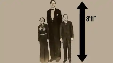 Life in Numbers: The Tallest Man of All Time