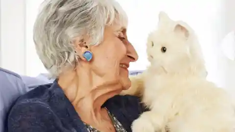 Robotic Cats Could Help the Elderly, According to Hasbro