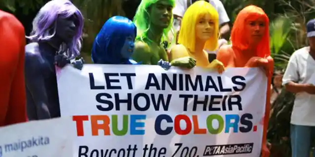 Number Four: Anti-Zoo Movements Exist All Over the World
