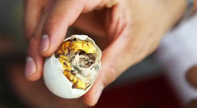 Would You Eat the Eggs From These 10 Animals?